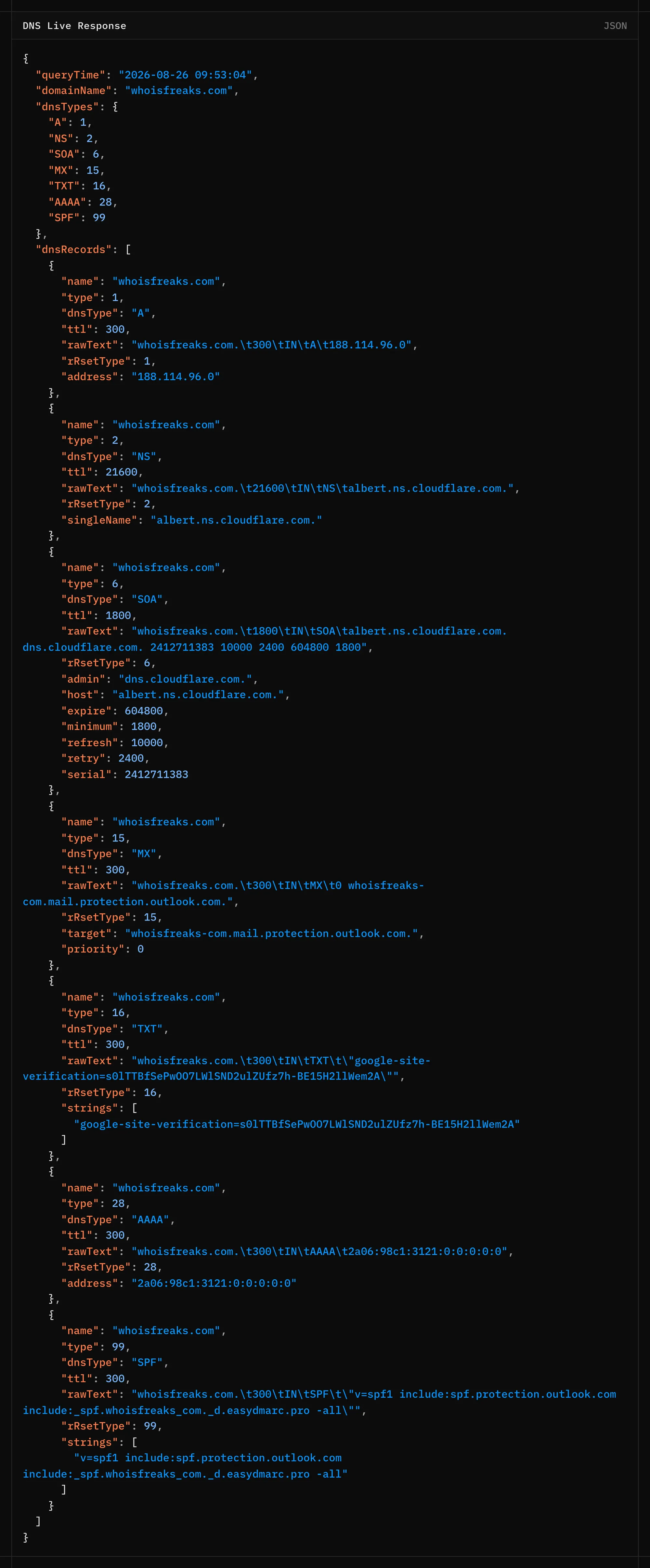 Terminal showing a DNS API JSON response with the dnsTypes summary and A, NS and MX records
