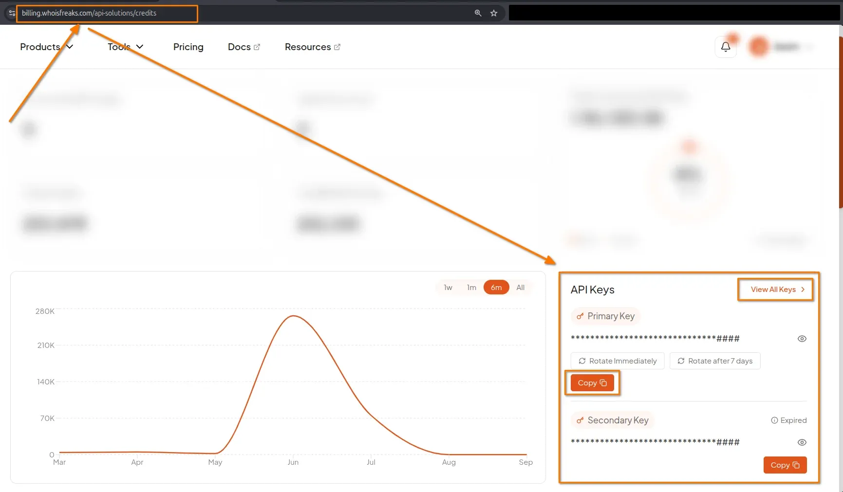 WhoisFreaks dashboard API Keys page showing the primary key with a copy button
